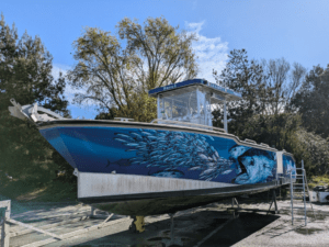 bateau occasion a vendre AMARES 865 la rochelle mv yachting