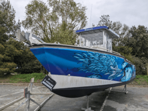 bateau occasion a vendre AMARES 865 la rochelle mv yachting