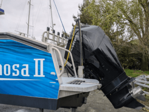 bateau occasion a vendre AMARES 865 la rochelle mv yachting