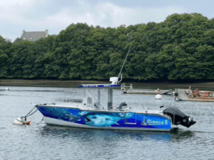 bateau occasion a vendre AMARES 865 la rochelle mv yachting