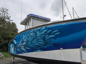 bateau occasion a vendre AMARES 865 la rochelle mv yachting