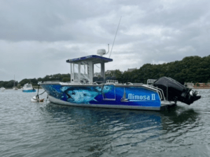 bateau occasion a vendre AMARES 865 la rochelle mv yachting