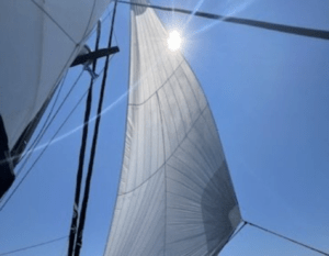bateau occasion a vendre Neel 43 la rochelle mv yachting